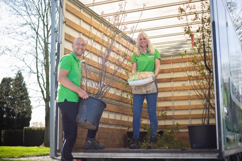 Snelle groei structureren met Shiftbase
