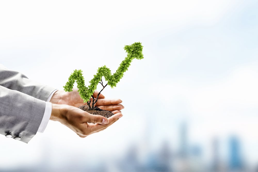 Image of human hands holding plant shaped like arrow