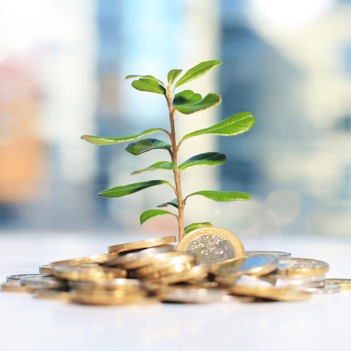 Duurzaam investeren met groene energie