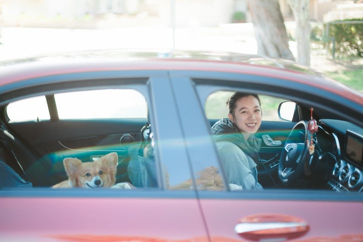 Zijaanzicht van een auto. Er zit een vrouw achter het stuur die naar de camera lacht. En achterin zit er een vrolijke corgi die ook naar de camera kijkt.