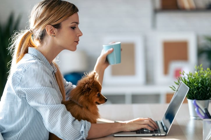 Agile Working, A woman sitting at laptop drinking coffee with dog on her lap