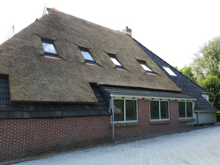 nocht en wille