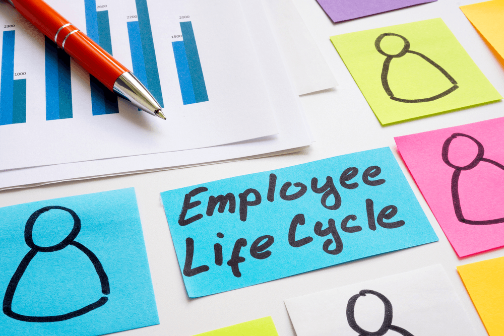 employee life cycle: what you need to know